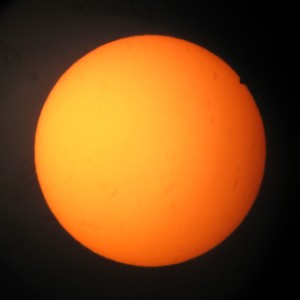 275.jpg
