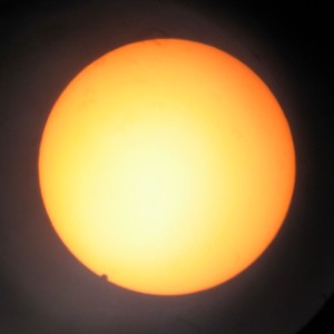 289.jpg