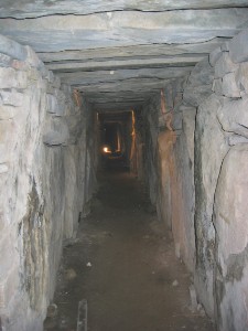 329.jpg
