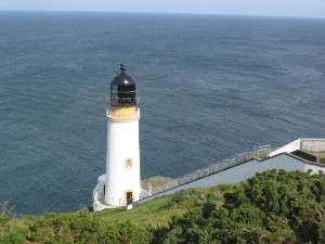 386.jpg