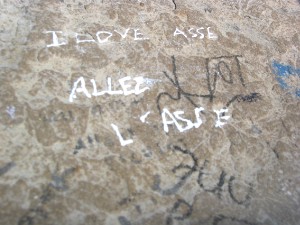 447.jpg