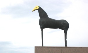 493.jpg