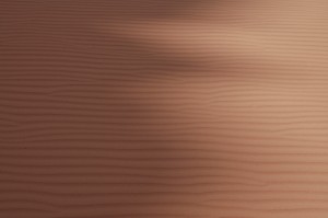 523.jpg