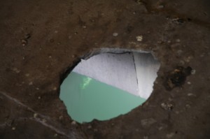 536.jpg