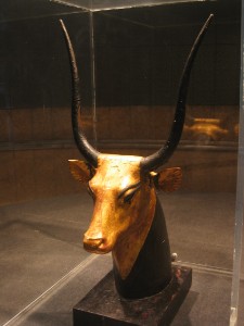 547.jpg