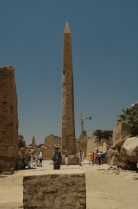 548.jpg