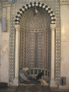 81.jpg