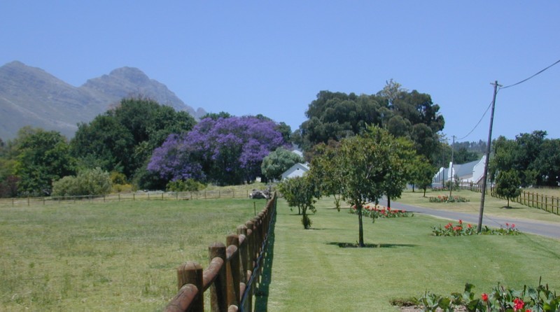 112.jpg