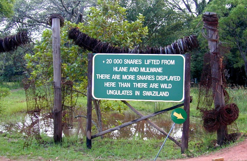 120.jpg