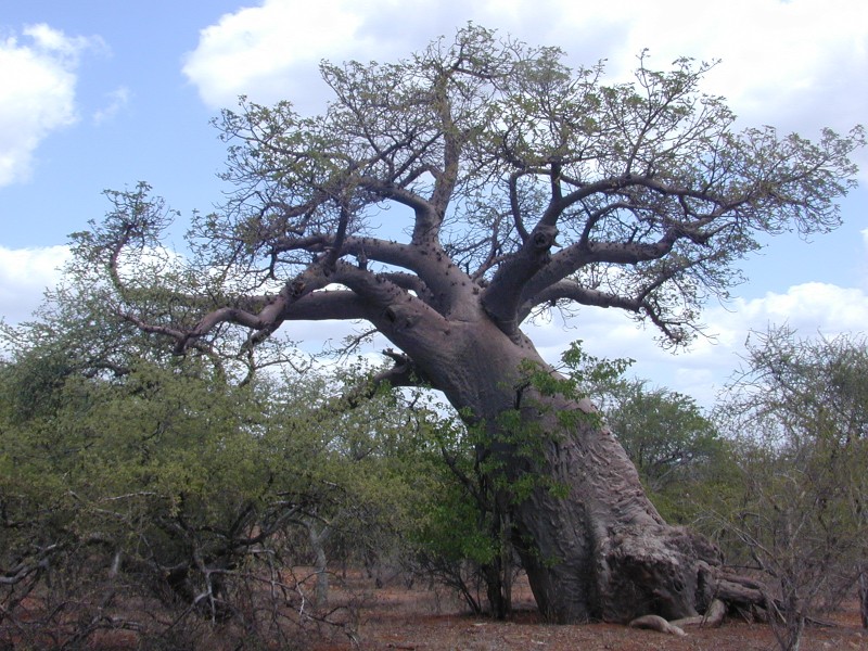 133.jpg