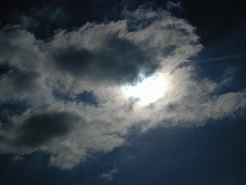 135.jpg