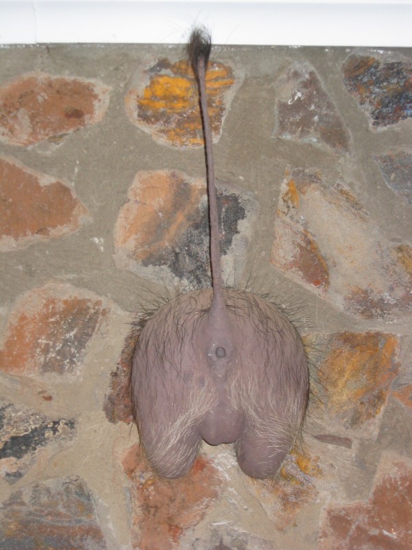 137.jpg