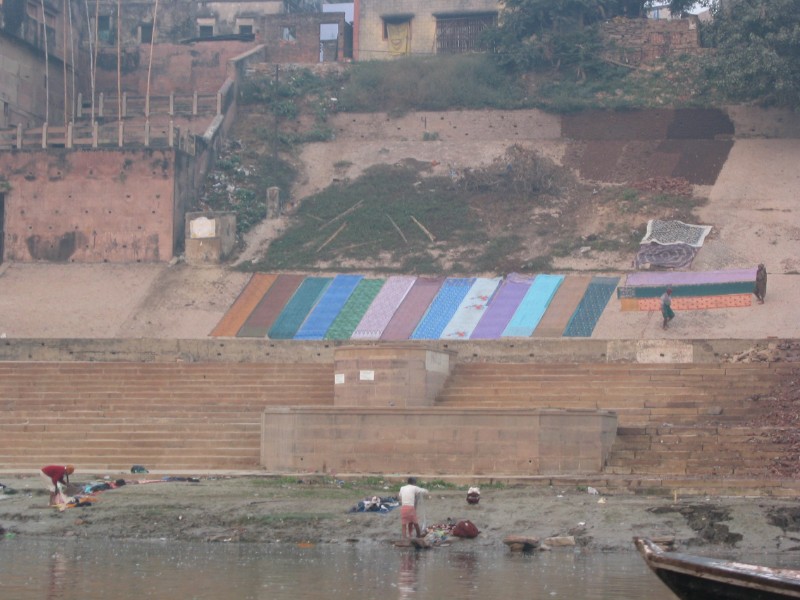 230.jpg
