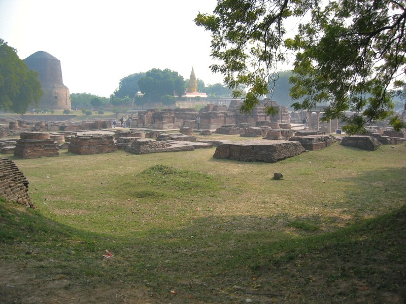 233.jpg