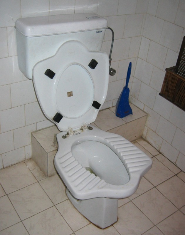 245.jpg