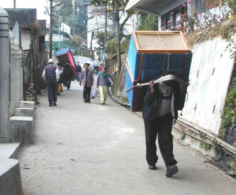 250.jpg
