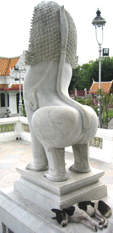 324.jpg