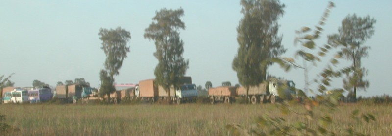 371.jpg