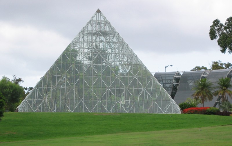 433.jpg