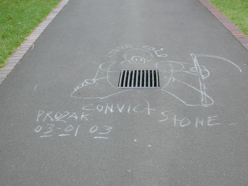 439.jpg