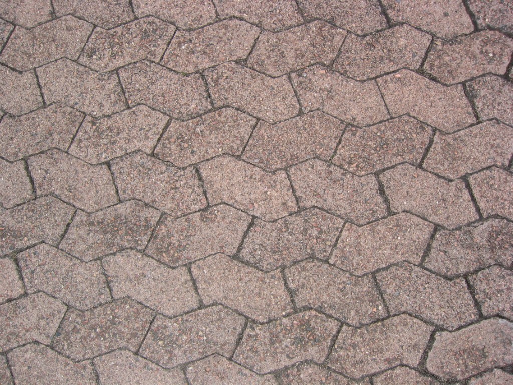 507.jpg