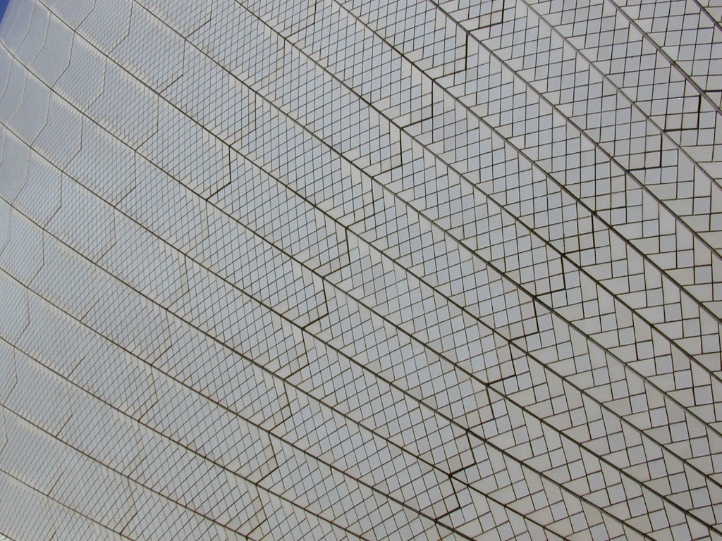 517.jpg