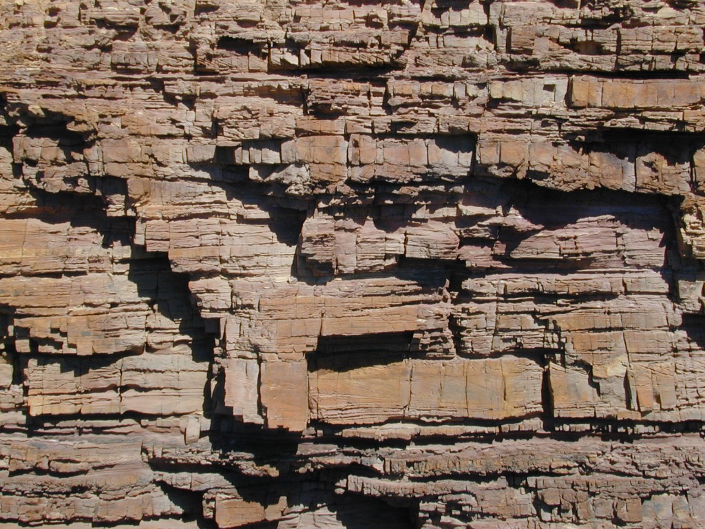 524.jpg