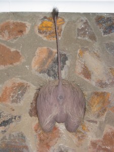 137.jpg