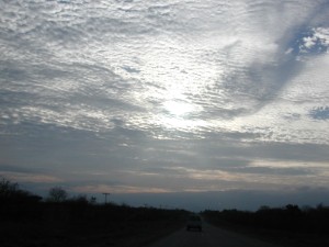 138.jpg