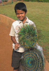 157.jpg