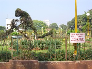 159.jpg