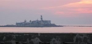 164.jpg