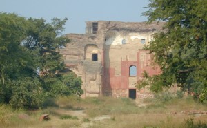 207.jpg