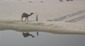221.jpg