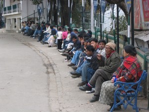 249.jpg