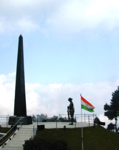 263.jpg