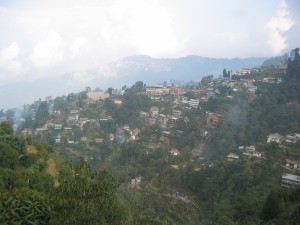 264.jpg