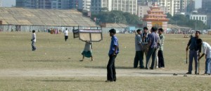 274.jpg