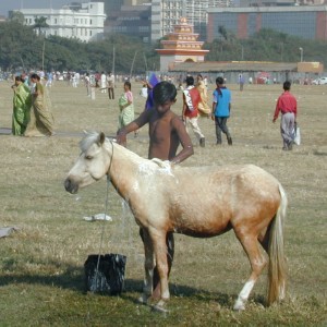 275.jpg