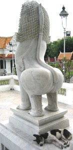 324.jpg