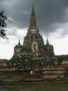 428.jpg