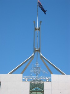 491.jpg