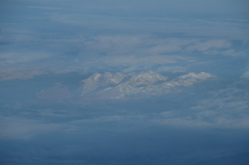1043.jpg