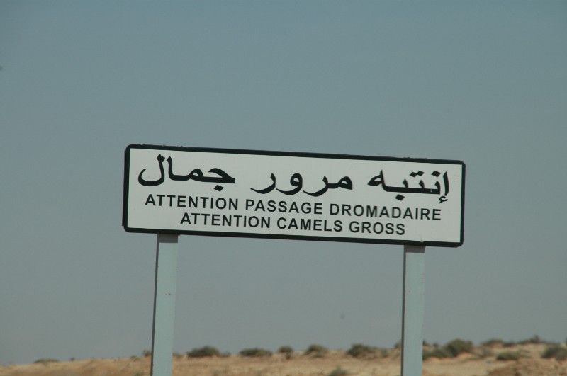 186.jpg