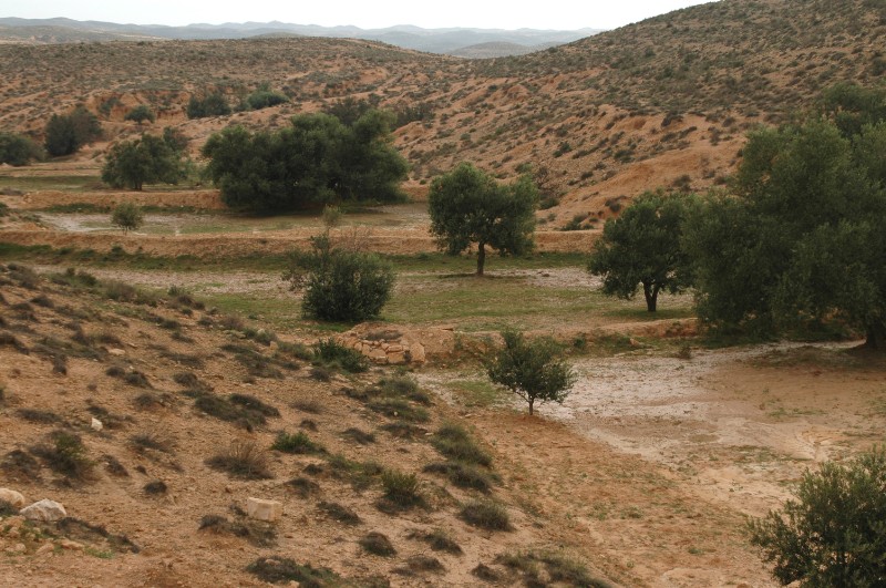 195.jpg