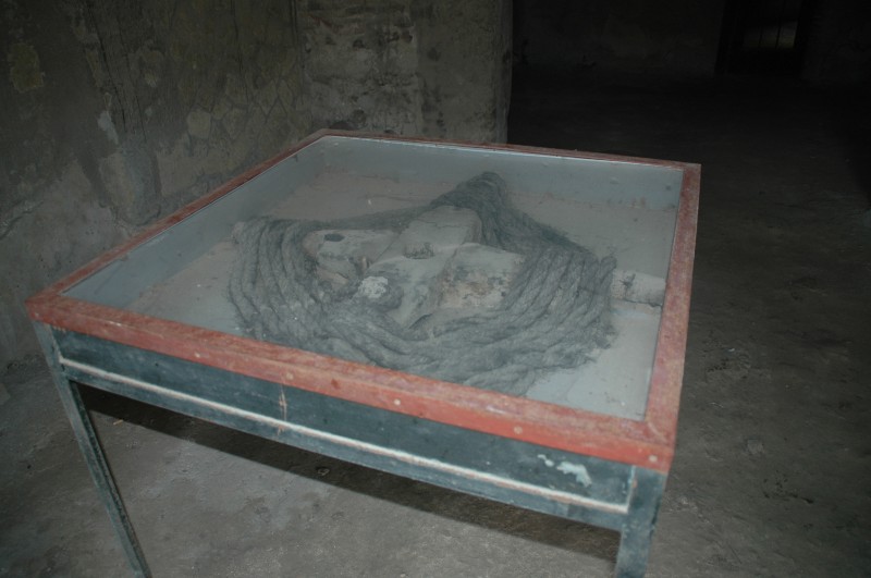 479.jpg