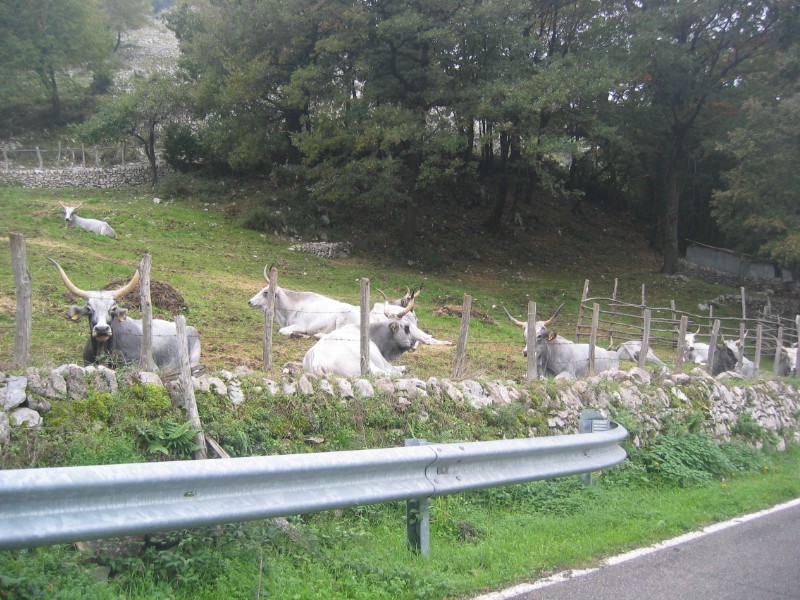 480.jpg