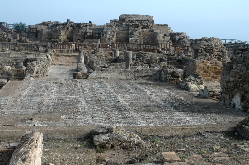 537.jpg