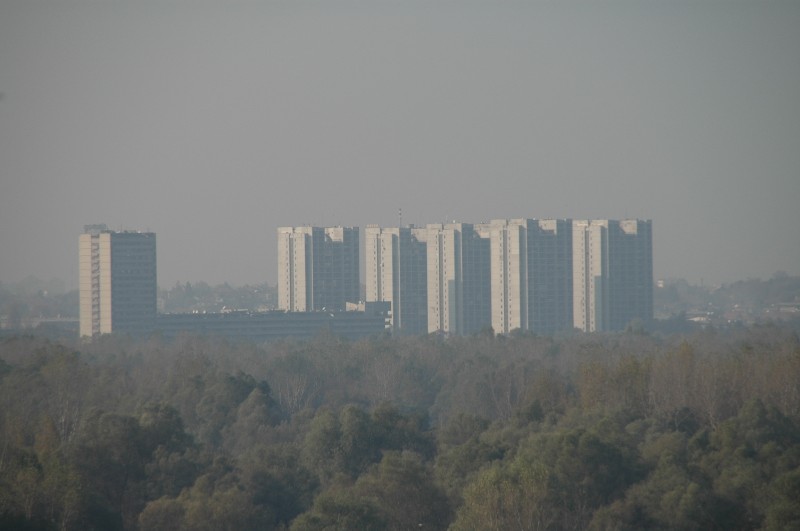 835.jpg