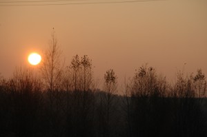 1029.jpg
